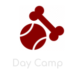 Dog Day Camp